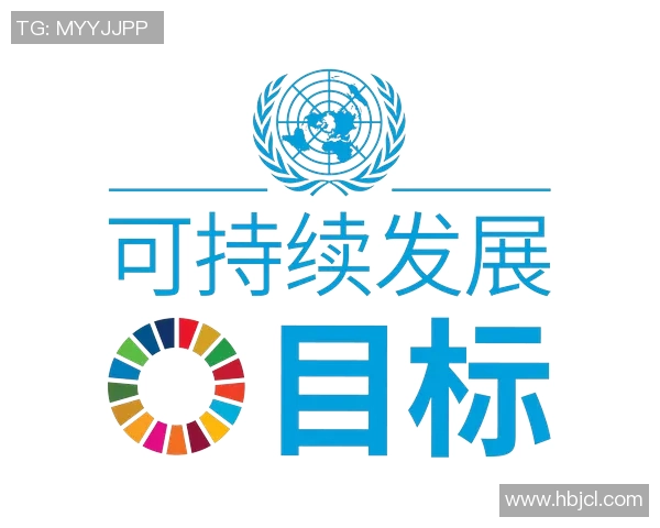 以发展为核心推动社会进步加强创新驱动实现全面可持续经济增长与社会和谐发展